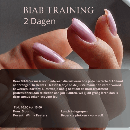 Biab Cursus 2 Dagen