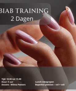 Biab Cursus 2 Dagen
