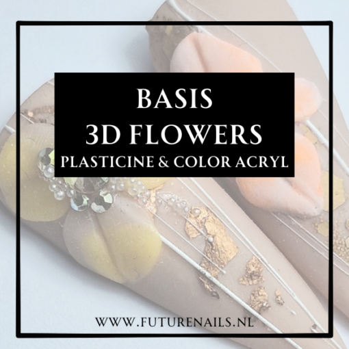 Online Basis 3D Flowers