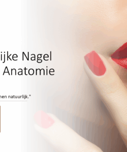 Theorie De natuurlijke nagel