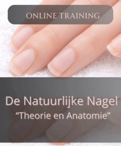Online les "De natuurlijke nagel"