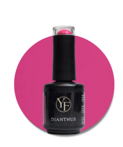 YF Gelpolish Dianthus